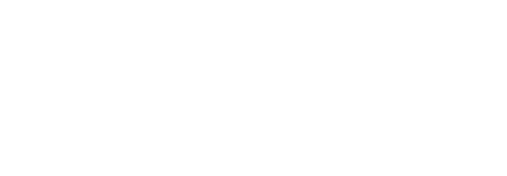 Bingwa Innovation Hub logo